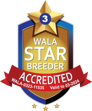 https://www.wala-labradoodles.org